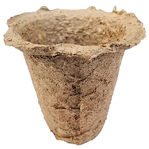 Maceta Olivo