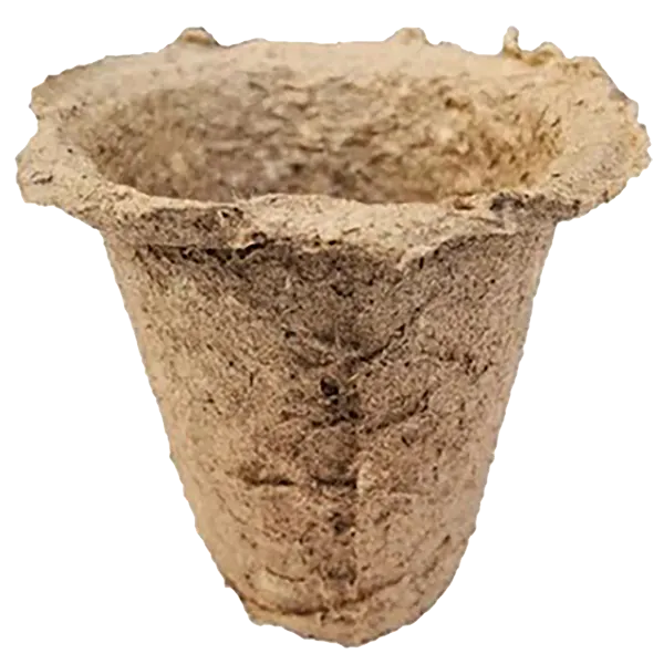 Maceta Olivo